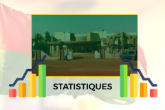 img-article-statistique